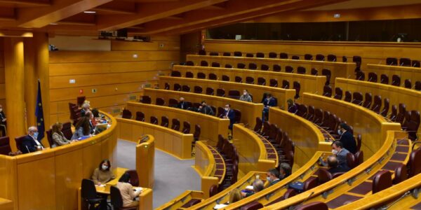 En el Senado, Teruel Existe defiende servicios sanitarios, de seguridad y educación para la España Vaciada