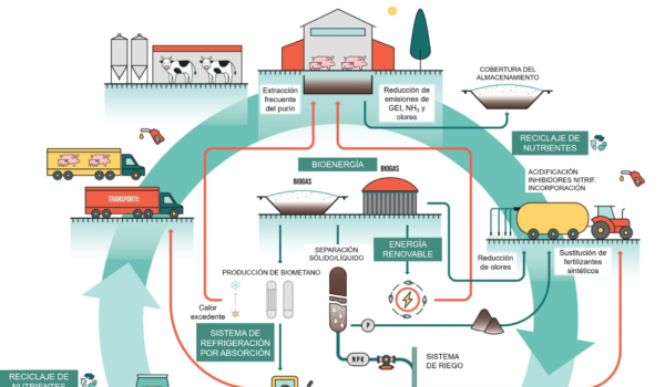 Revalorizar el purín generando biogás, la propuesta sostenible de Teruel Existe se incluye en el Proyecto de Ley de Residuos