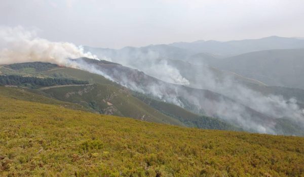 Teruel Existe pregunta al Gobierno por las medidas que va a tomar tras los incendios forestales de los últimos días