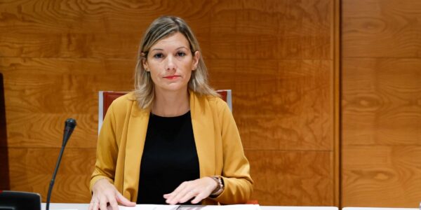 Teruel Existe en el Senado insiste en sus demandas sobre las ayudas en zonas despobladas, conectividad y planificación de renovables